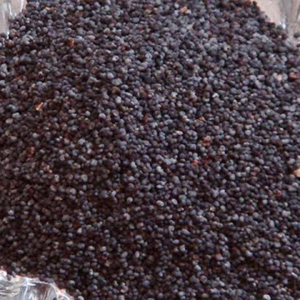 Semilla de quimbombó